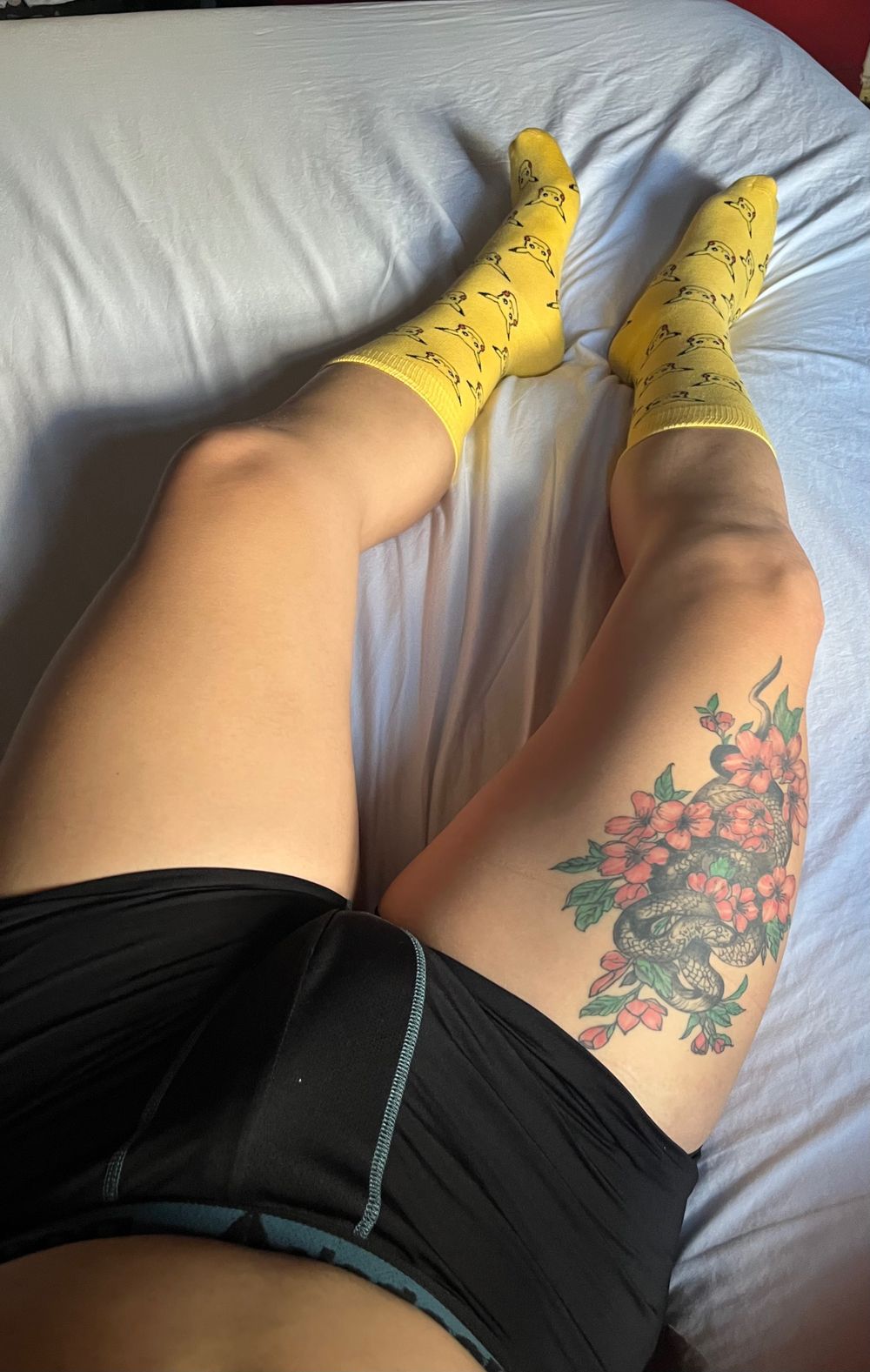 frankyjay OnlyFans profile picture