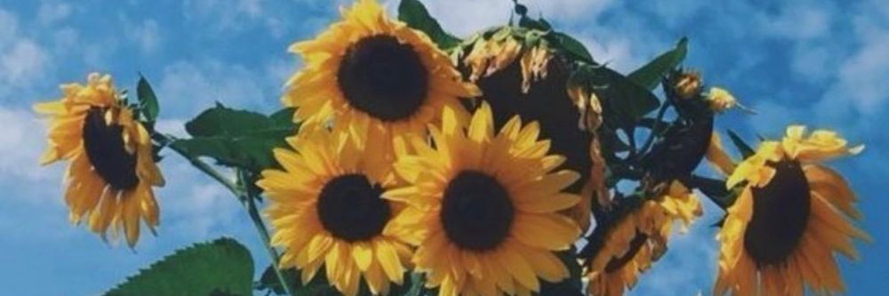 j_sunflower OnlyFans profile picture