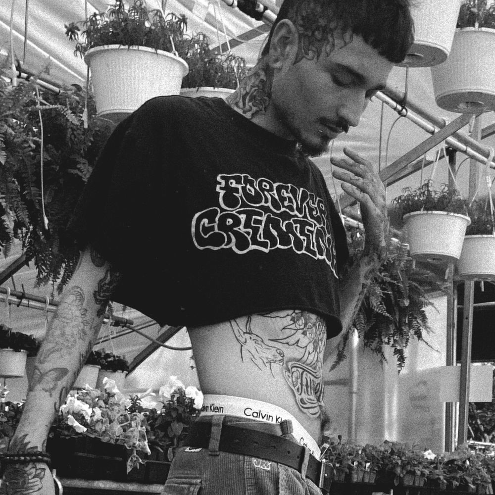 psilocybineyes OnlyFans profile picture