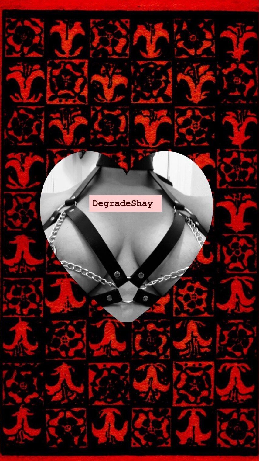 degradeshay OnlyFans profile picture