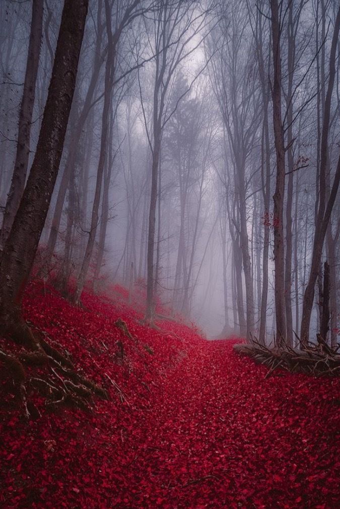 spookiethicc OnlyFans profile picture
