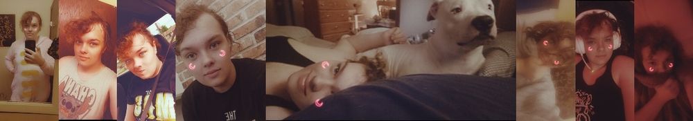 avalovesdinos OnlyFans profile picture