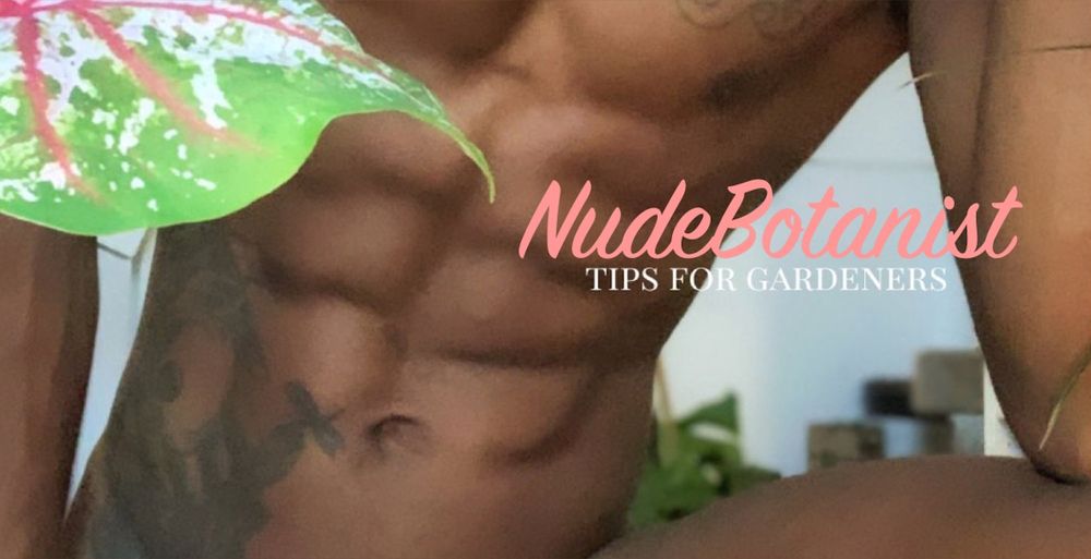 nudebotanist OnlyFans profile picture