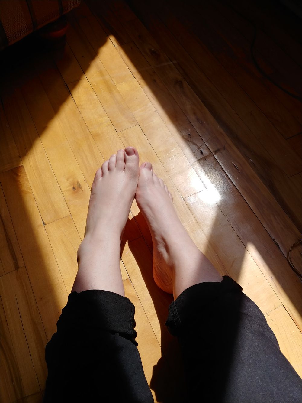 tinyfeetandtoes OnlyFans profile picture