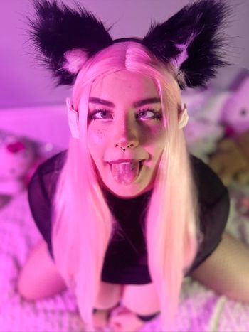 Meowka UwU