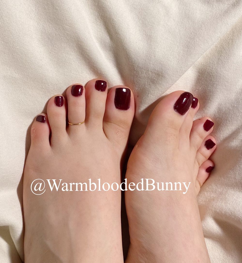 warmbloodedbunny OnlyFans profile picture