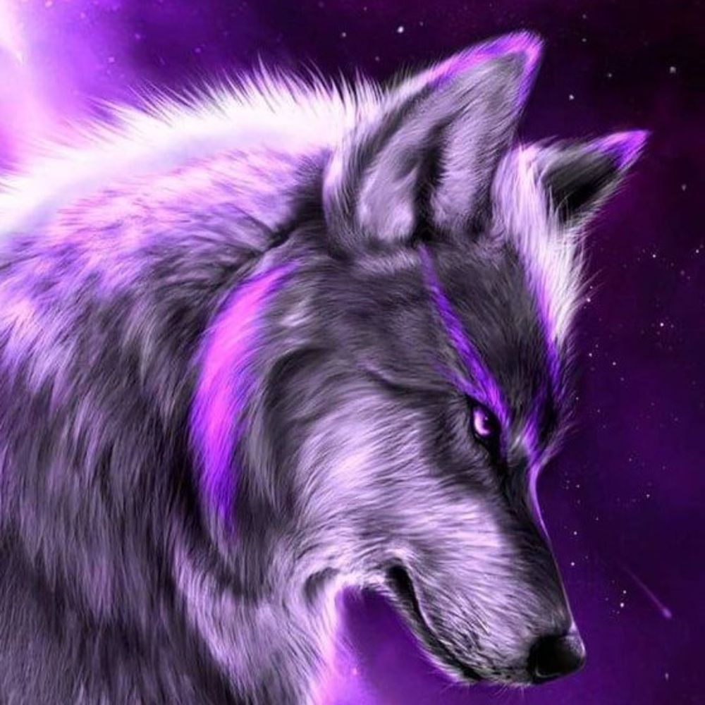 wolfsden359vip OnlyFans profile picture