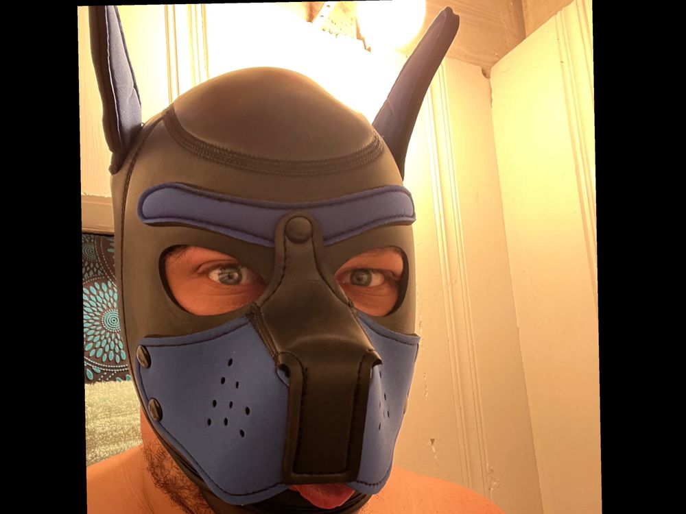 pupban OnlyFans profile picture