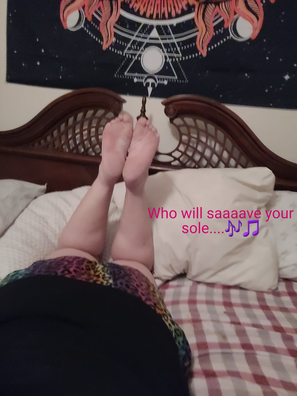all_toes_lotus OnlyFans profile picture