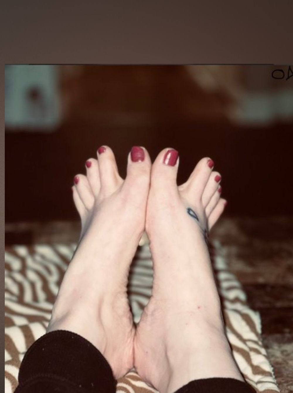 ohhlivarch OnlyFans profile picture