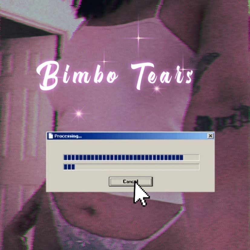 bimbotears OnlyFans profile picture