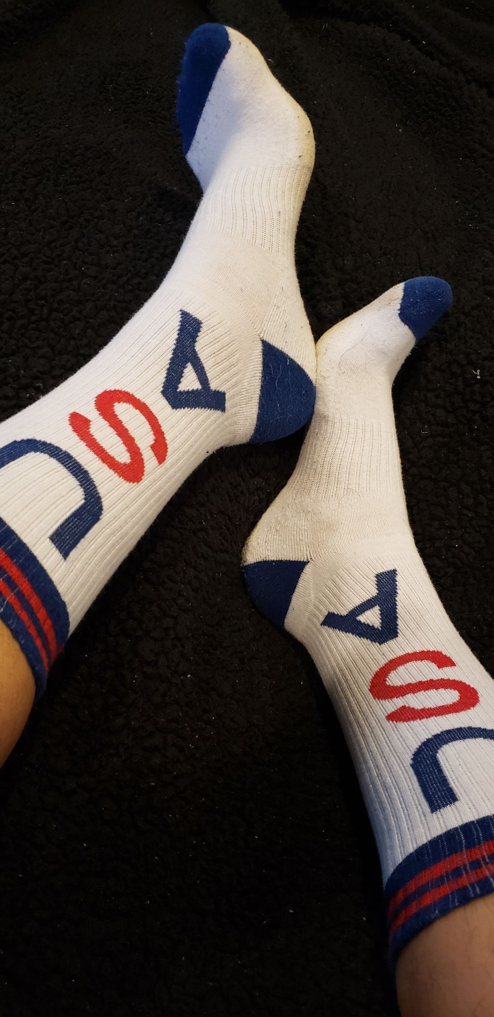 sockmehof OnlyFans profile picture