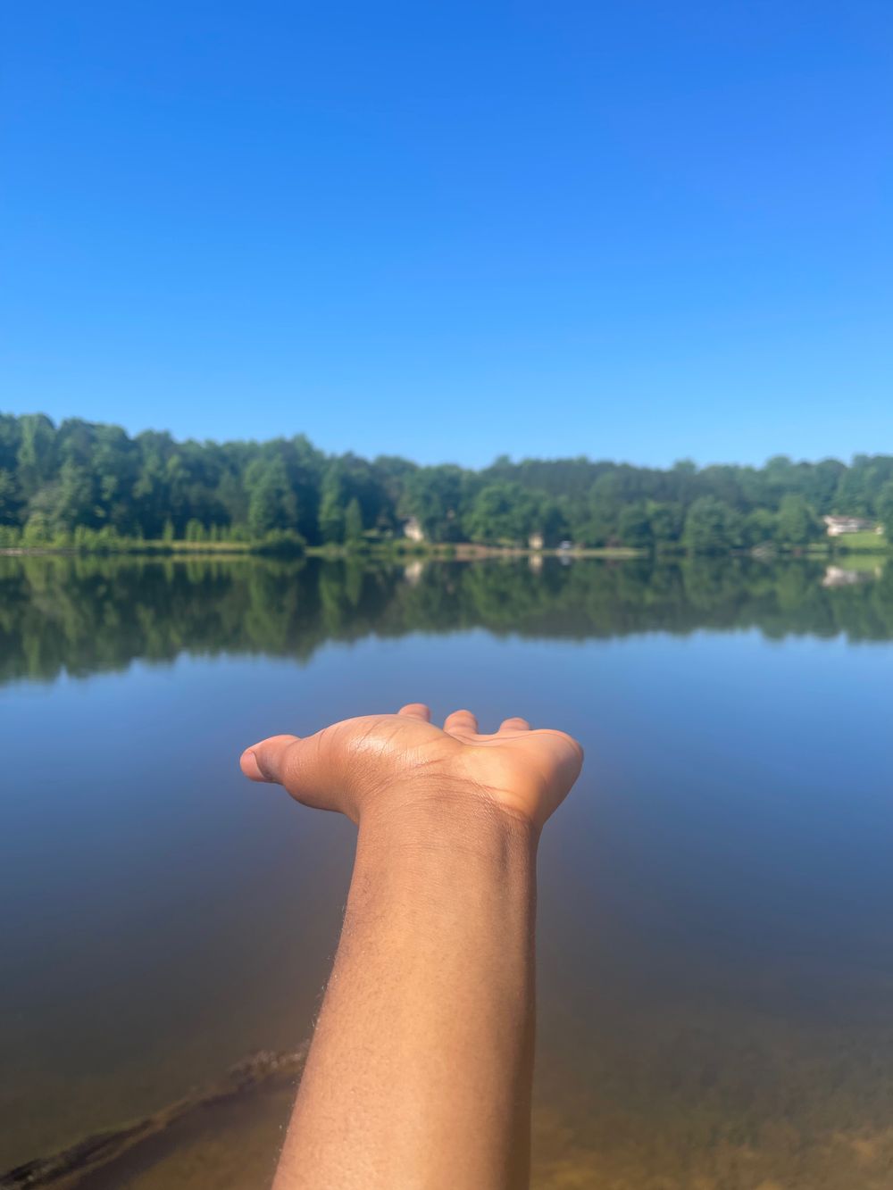chareyyiswhere OnlyFans profile picture