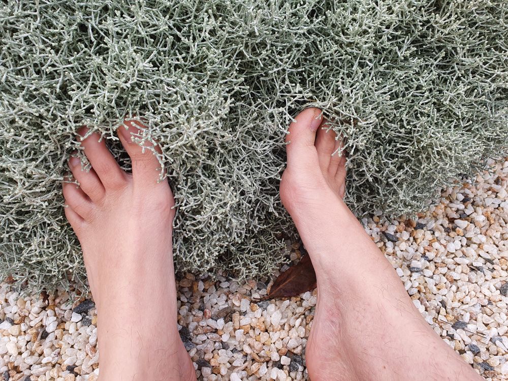barefeet365 OnlyFans profile picture