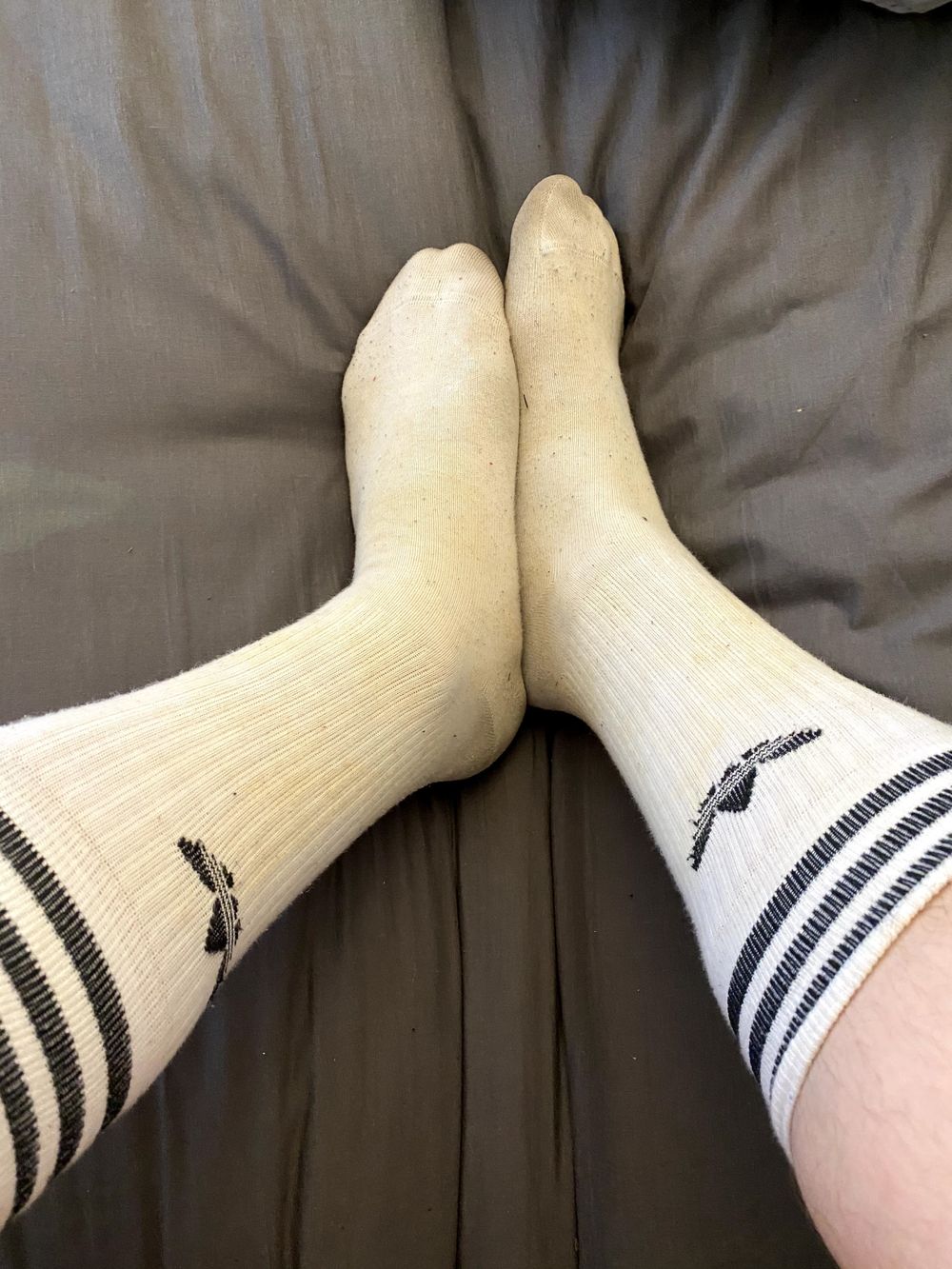 welshsocklover OnlyFans profile picture