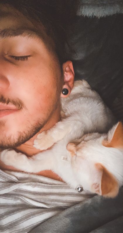 sadboyproductions OnlyFans picture