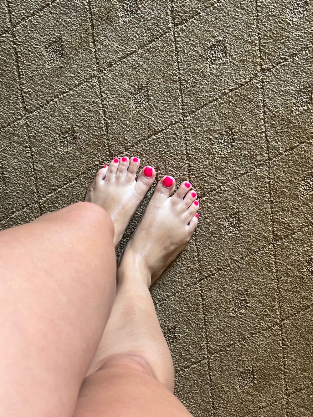 babymiauu OnlyFans profile picture