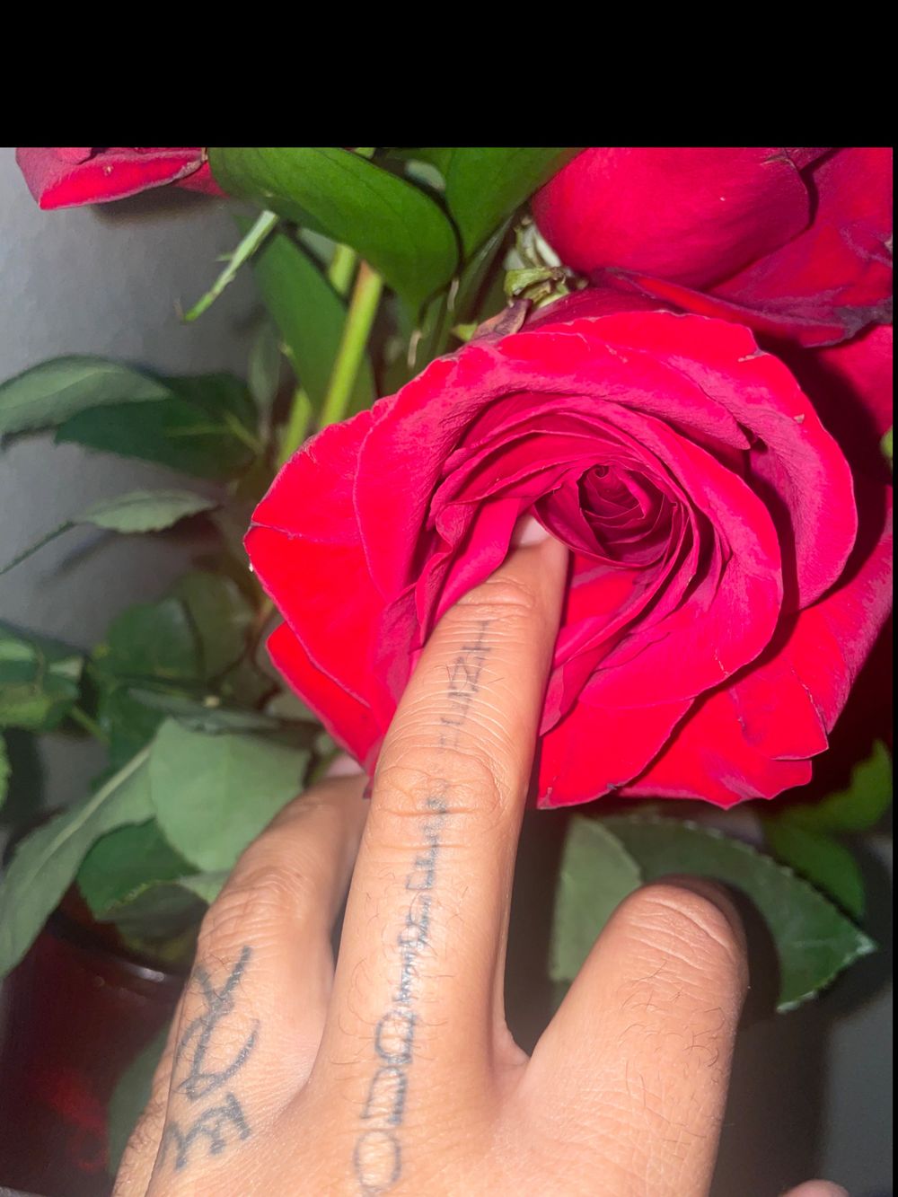 dahakapr OnlyFans profile picture