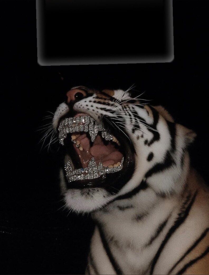 thechosen98 OnlyFans profile picture