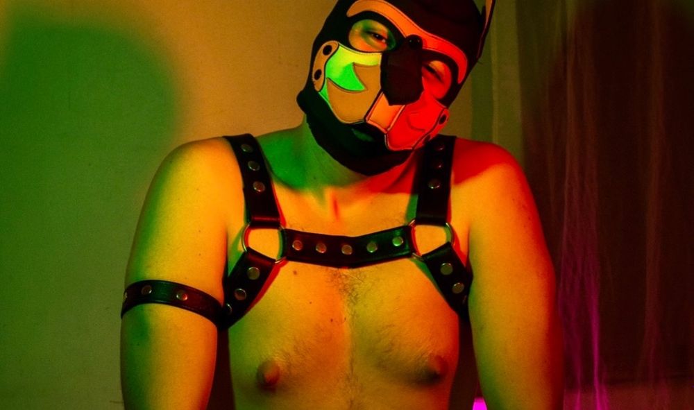 baltopup__ OnlyFans profile picture