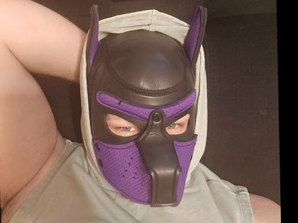purplepup96 OnlyFans picture