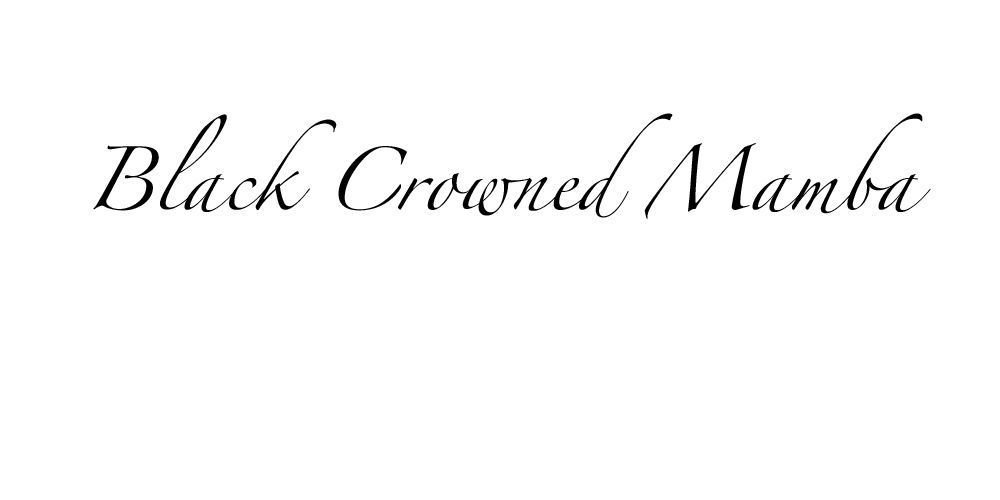 blackcrownedmamba OnlyFans profile picture