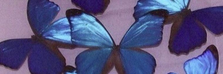 thebutterflyeffects OnlyFans profile picture