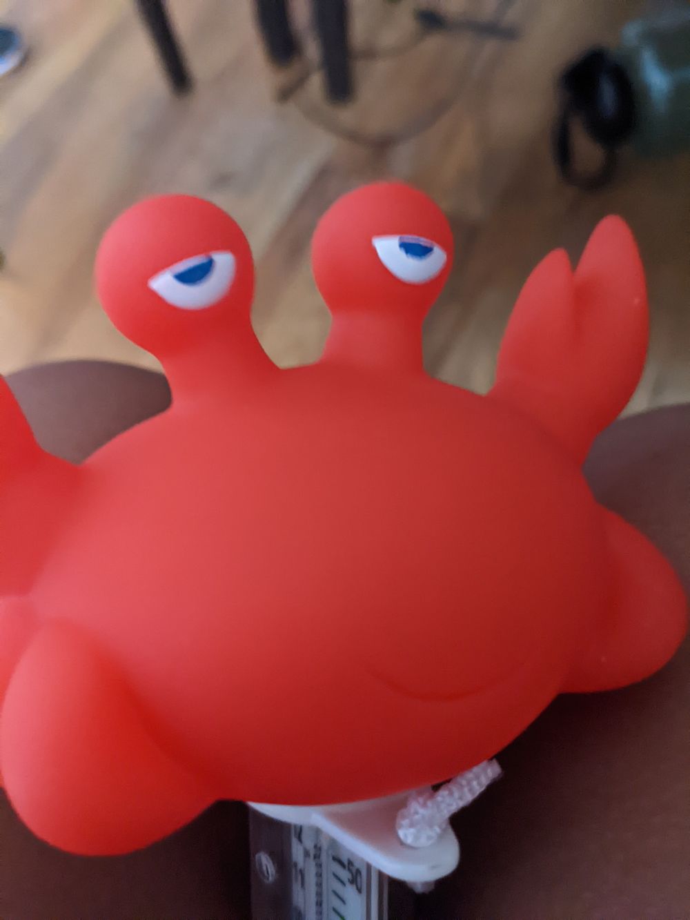 kachipurri OnlyFans profile picture