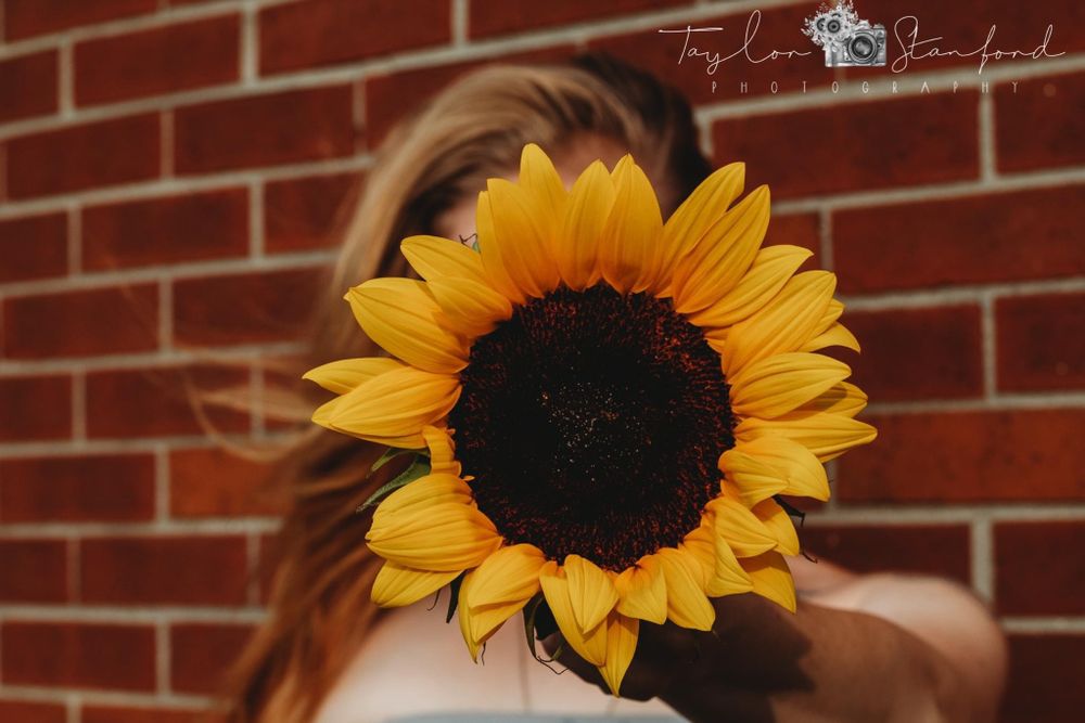 our_secret_xoxo OnlyFans profile picture