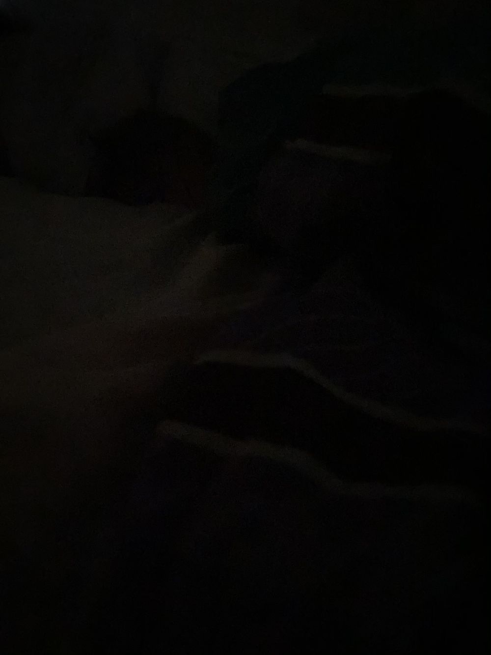 ebonyqu33n OnlyFans profile picture