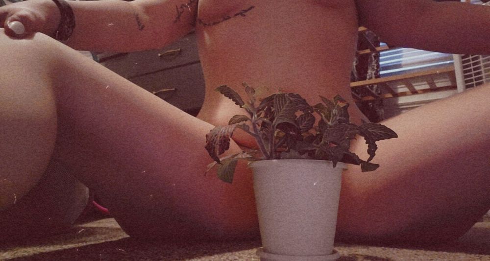 nakedplantlady1 OnlyFans profile picture