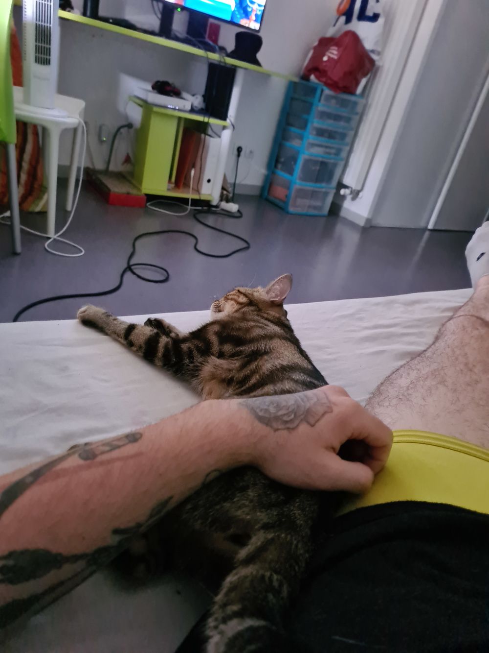 yoshi94 OnlyFans profile picture