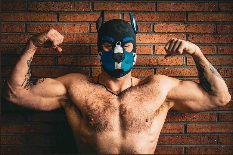 dieterwolfe OnlyFans profile picture
