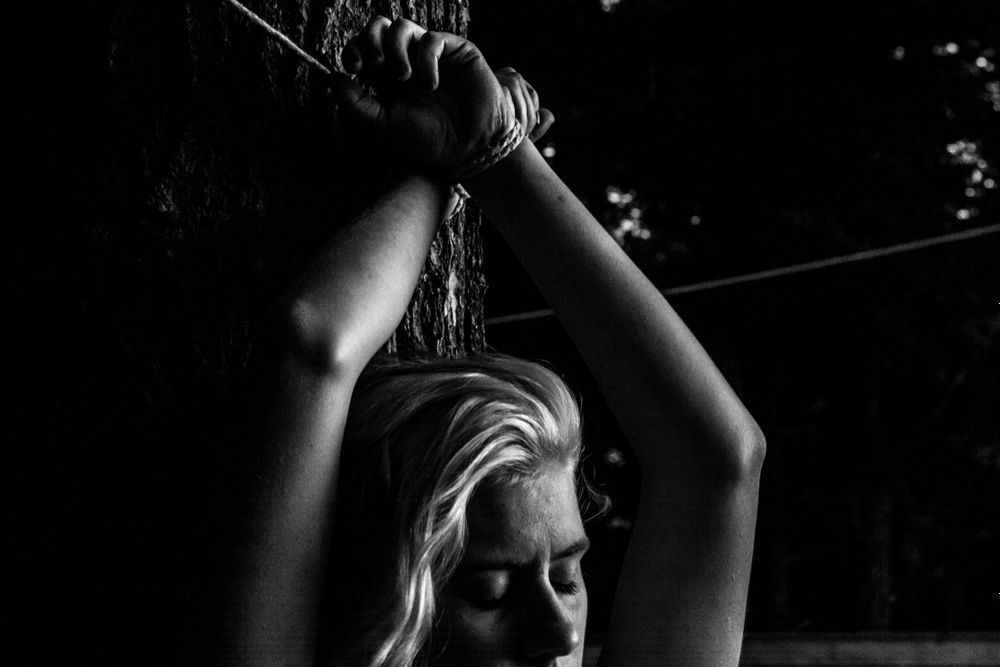 secretofthelynx OnlyFans profile picture
