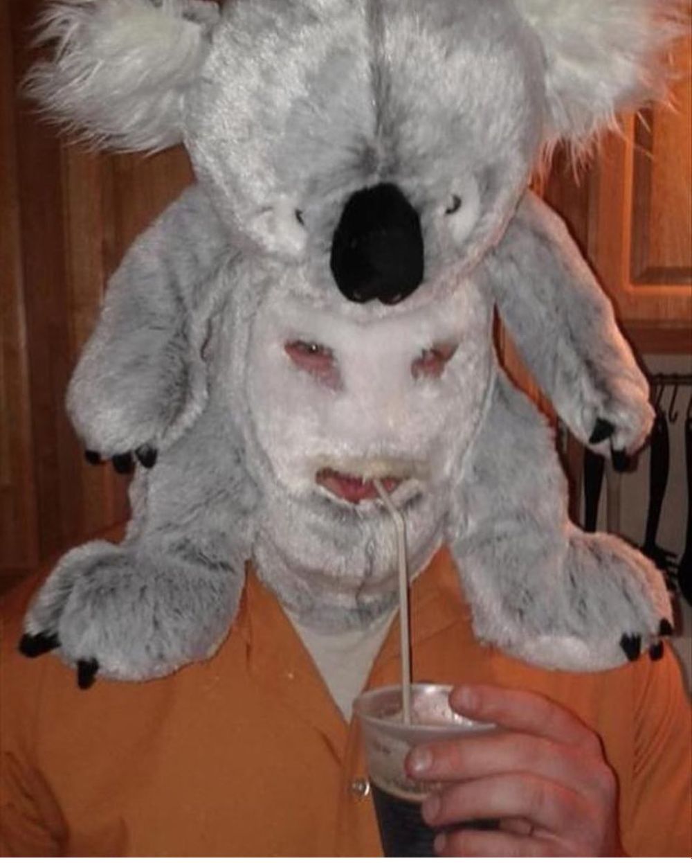holidayberns OnlyFans profile picture