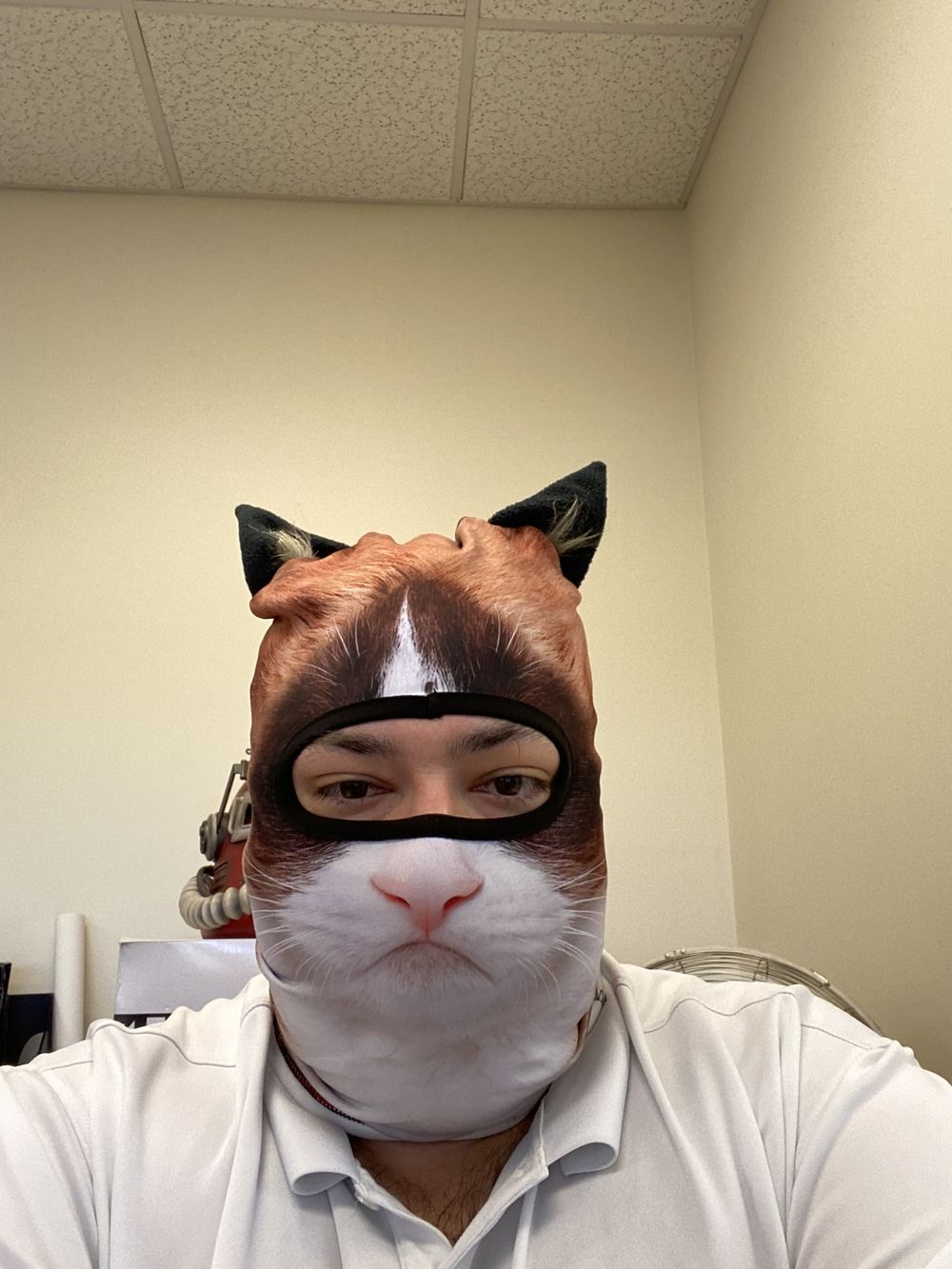 gonzomaster OnlyFans profile picture
