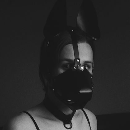 hifipup OnlyFans picture