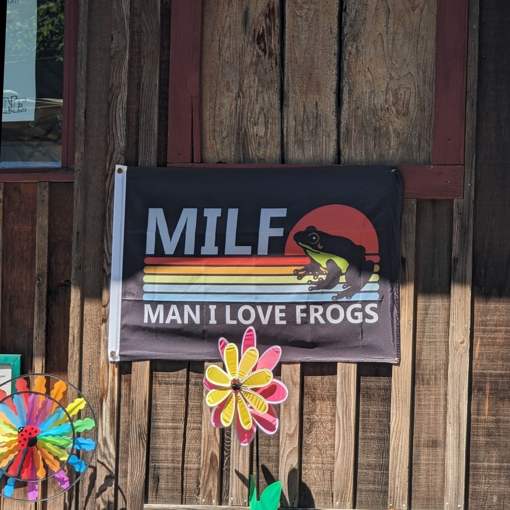 loststoner OnlyFans profile picture