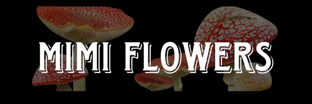 mimi_flowersss OnlyFans profile picture