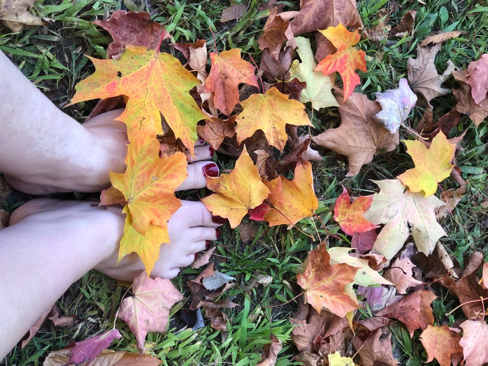 foxyfeet88 OnlyFans profile picture