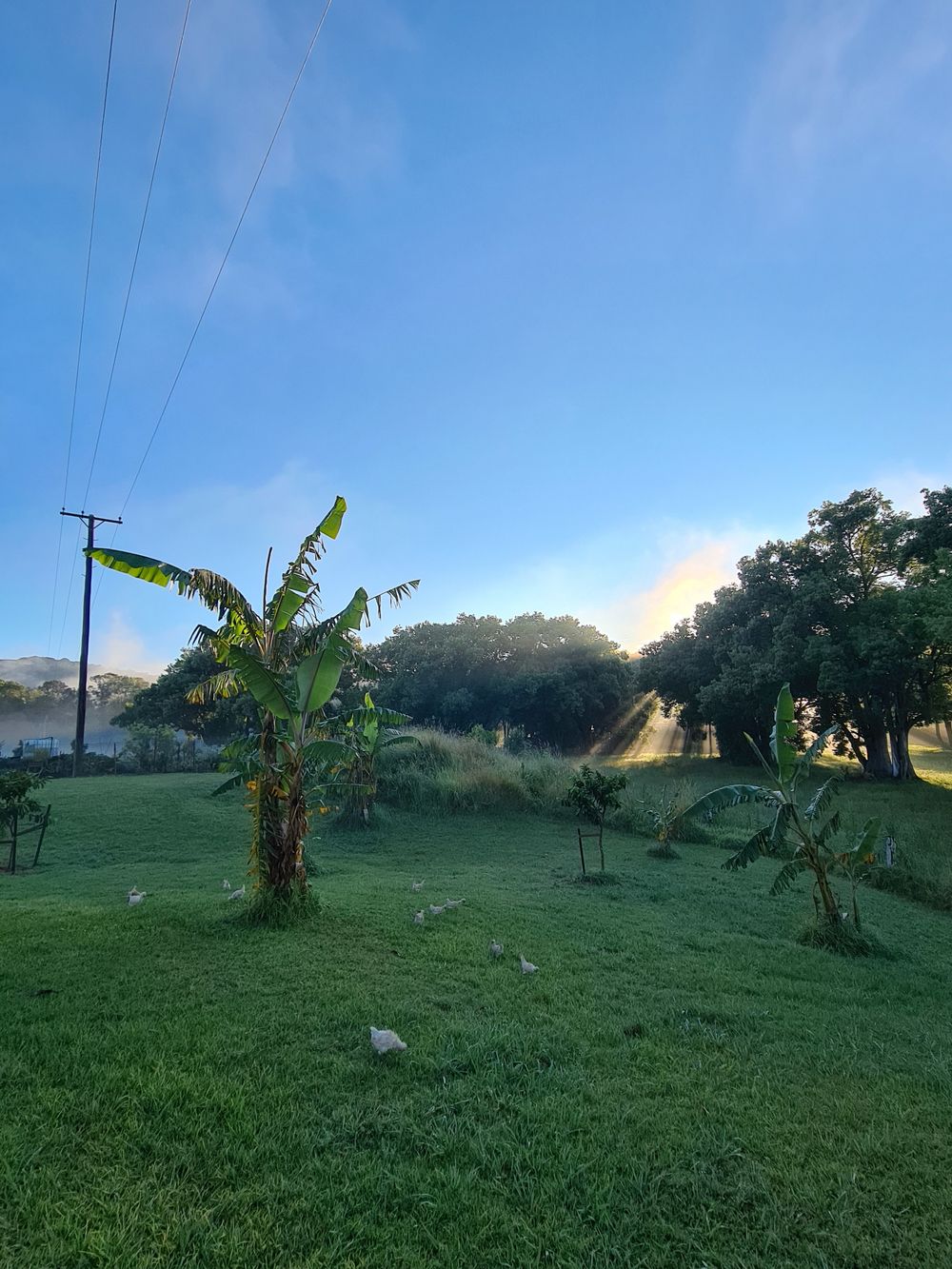 leila.grace OnlyFans profile picture
