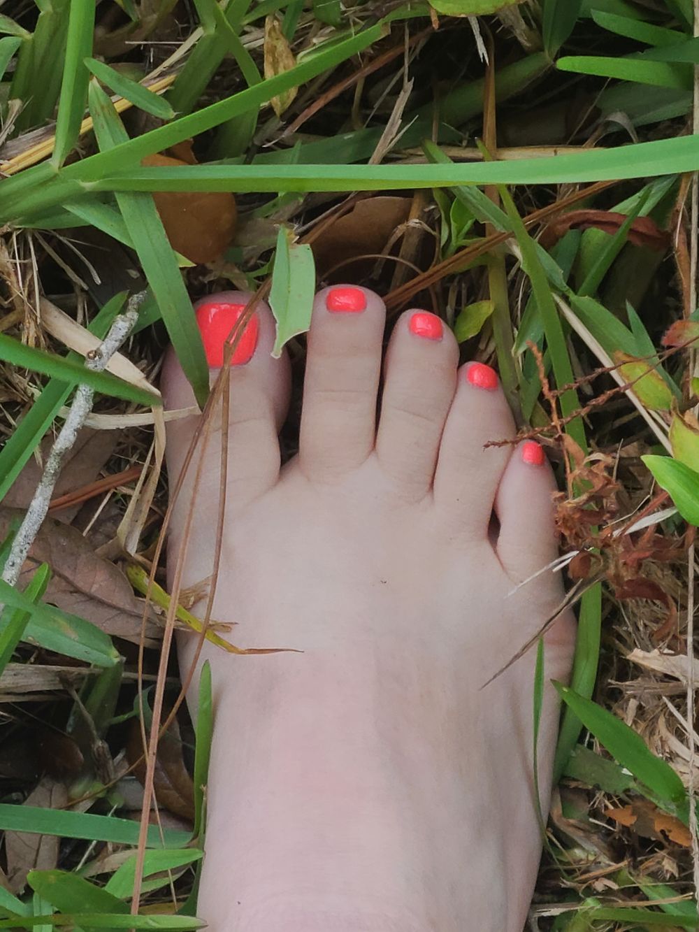 sweetmichelli7 OnlyFans profile picture