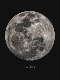luna.e-xox OnlyFans profile picture