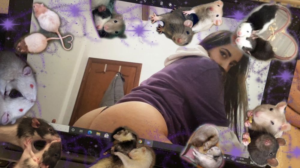 dominannx OnlyFans profile picture