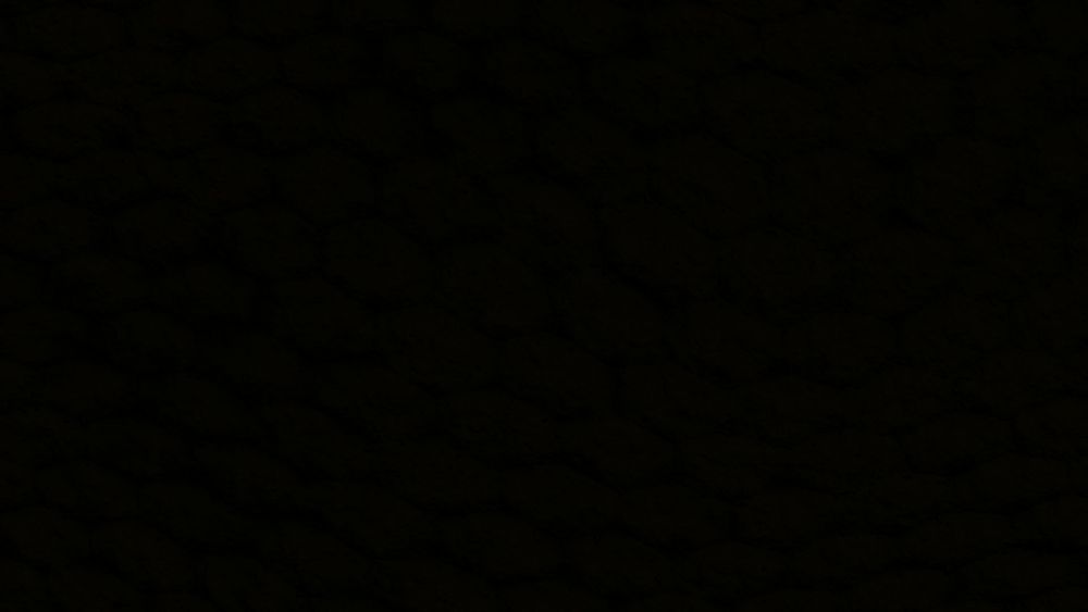 nicolinanico OnlyFans profile picture