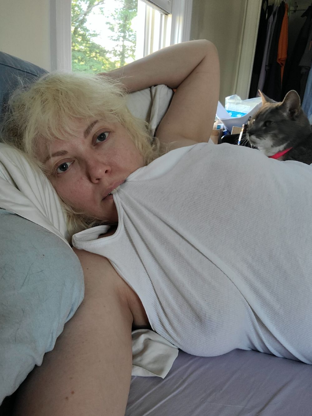 freecunny OnlyFans profile picture