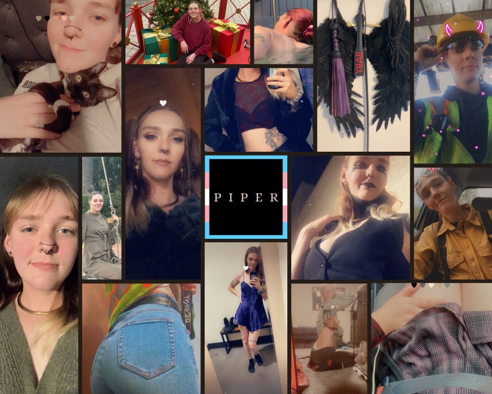 piperthepup OnlyFans profile picture