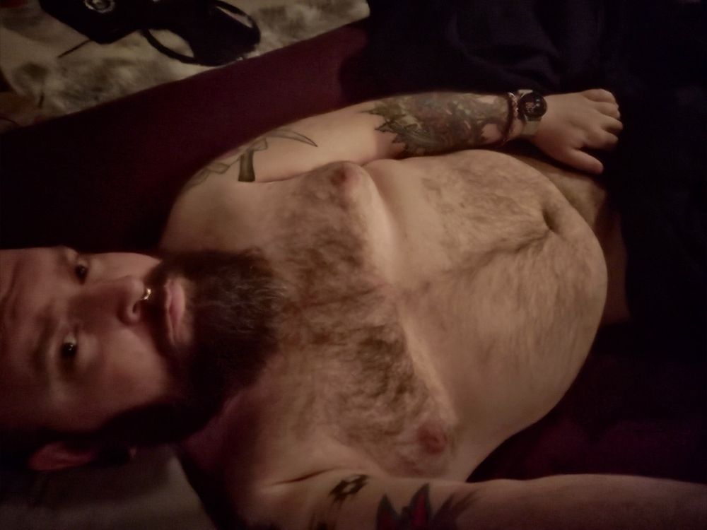 thebeardedbull OnlyFans profile picture