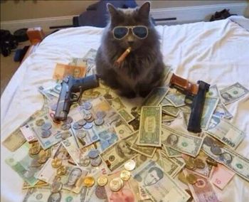 Richcat11_