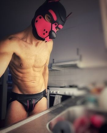 North, the Kinkster